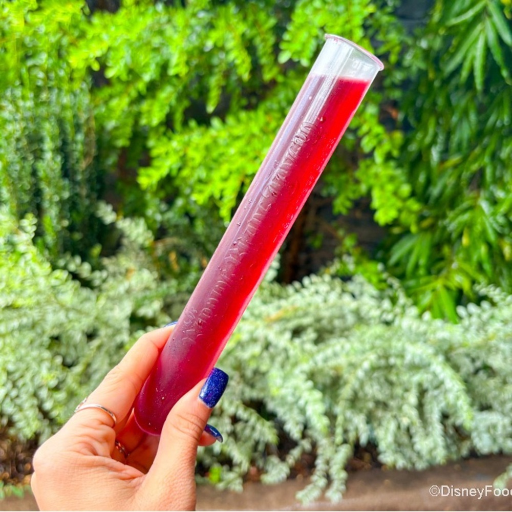 Universal Epic Universe Burning Blade Tavern Plastic Test Tube Drink Cup Novelty